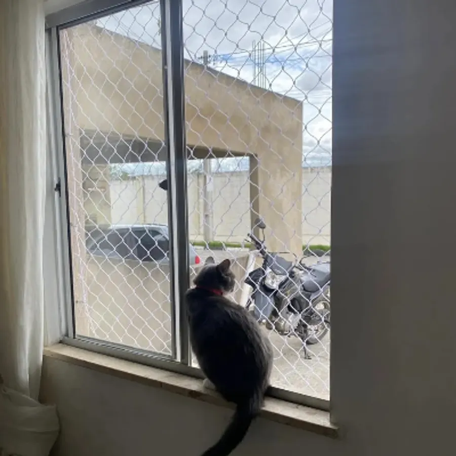 Janela de apartamento com tela de proteção e gato